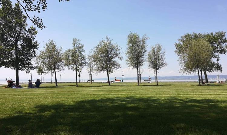 Yoga am See- Seebad Breitenbrunn